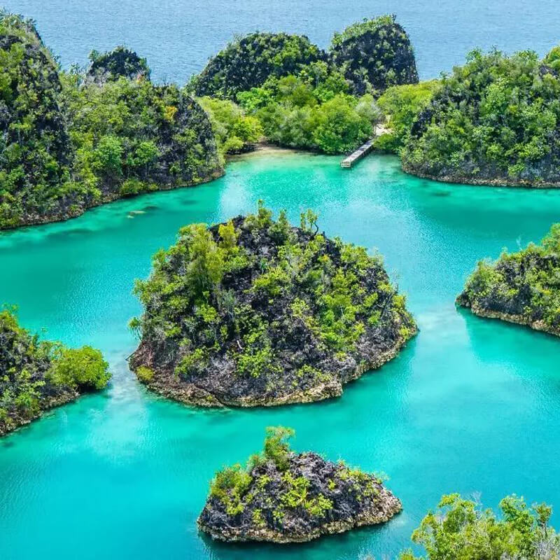 7.1マグニチュードの地震がニュージーランド北東部を襲った